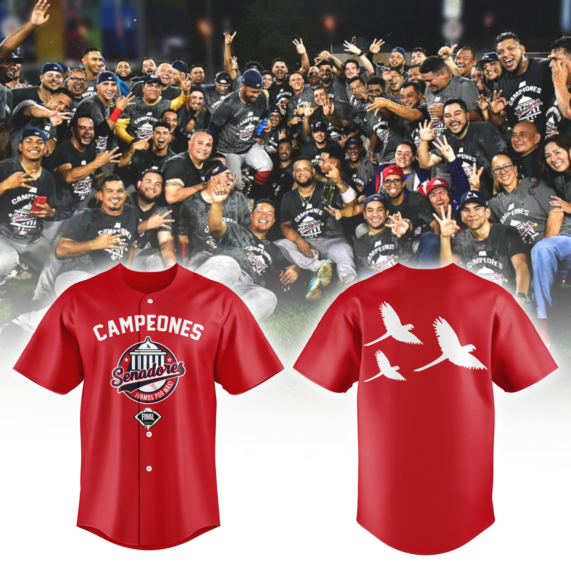 Senadores De Caracas Campeones Hoodie – Edition